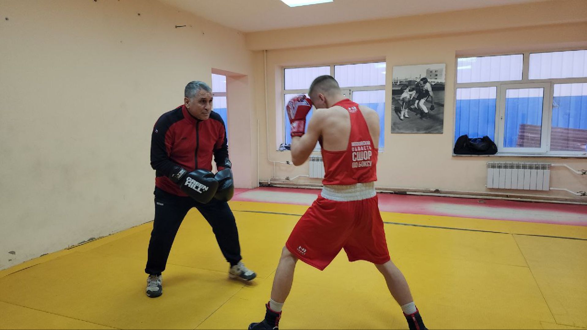 Луховицы, боксер,