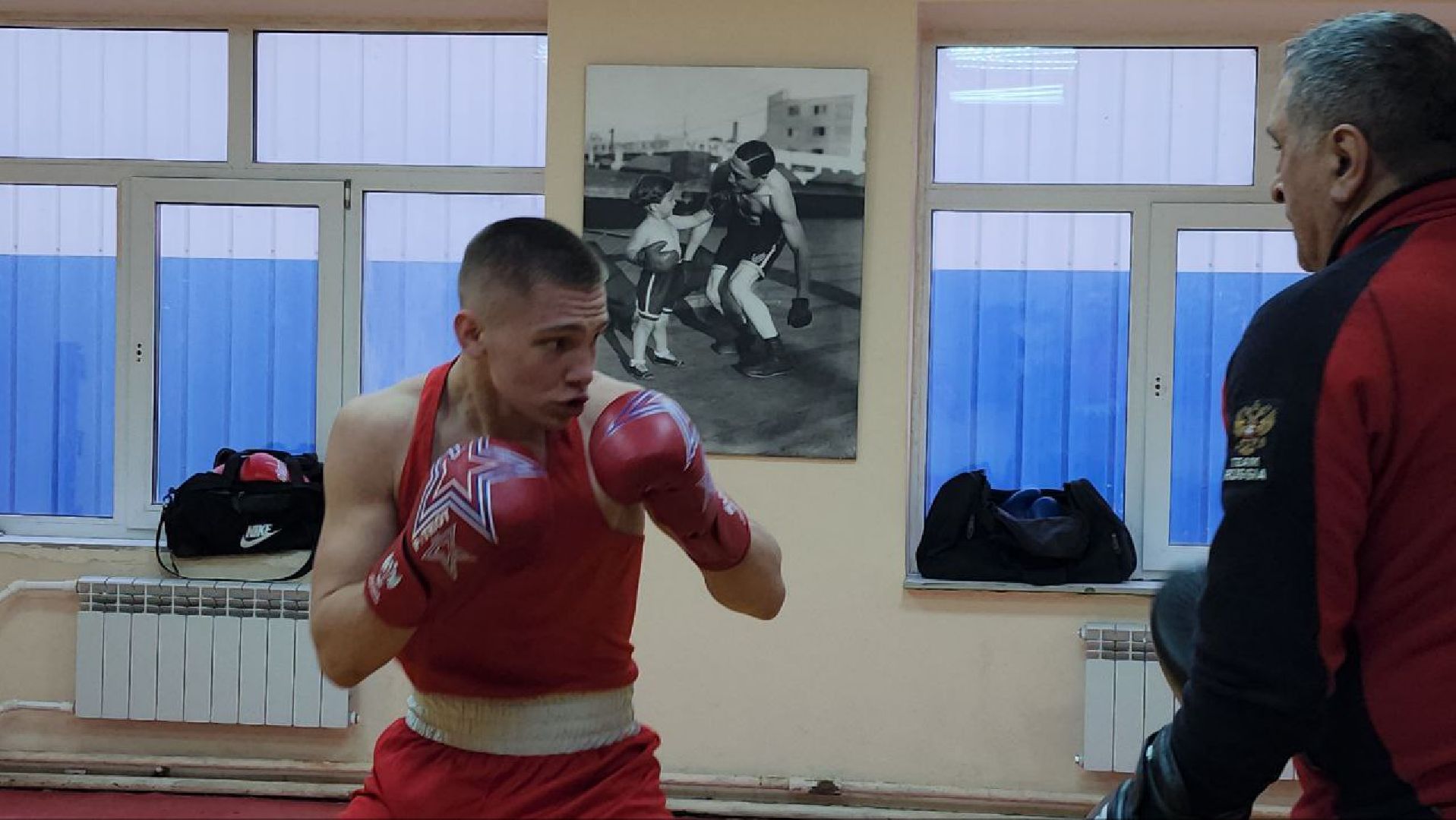 Луховицы, боксер,