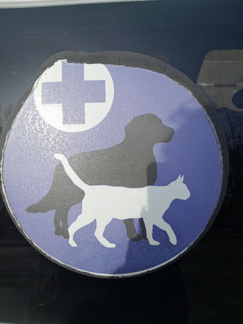 коровы, ветеринар, балашиха,