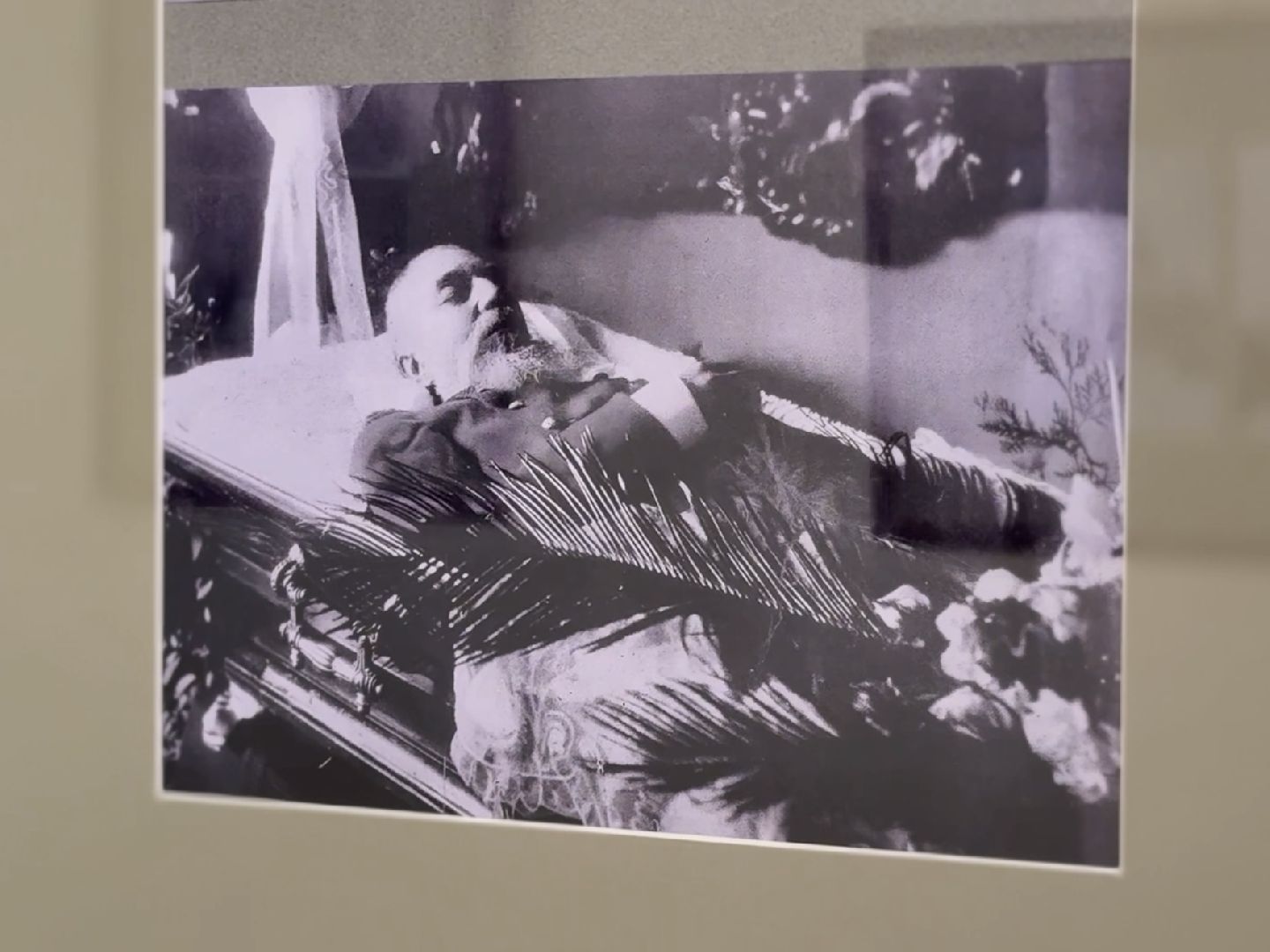 раменское, выставка, фотография, история,