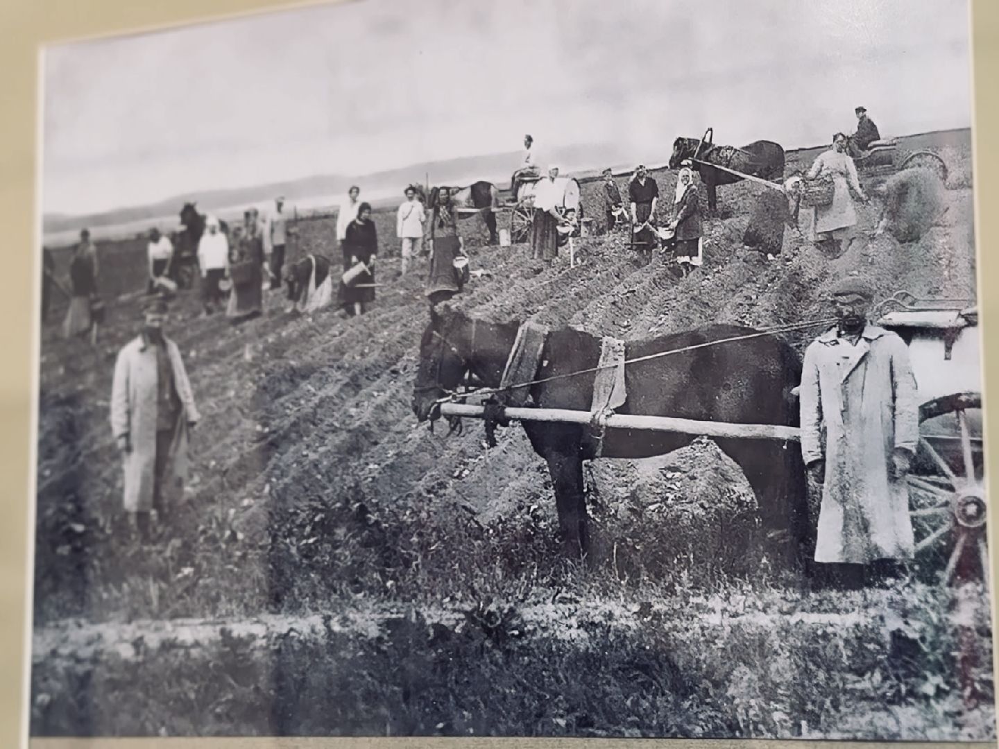 раменское, выставка, фотография, история,