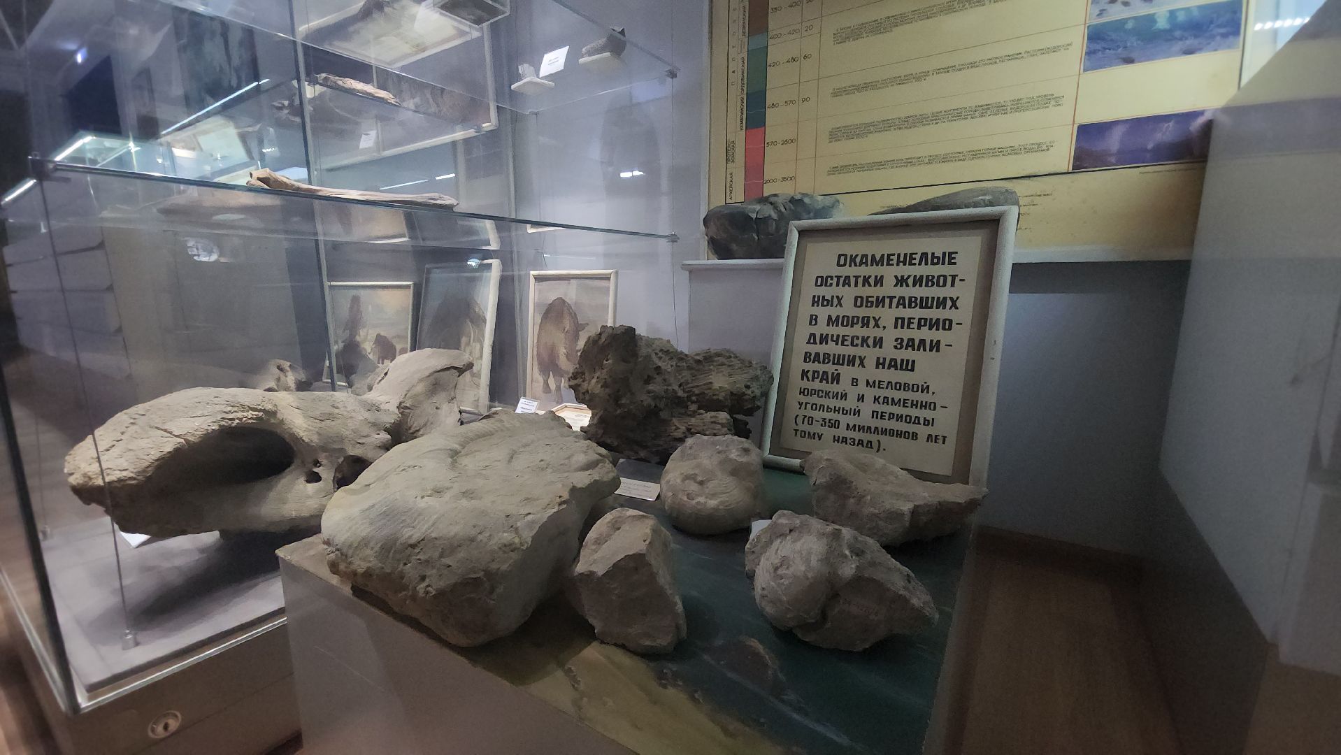 Люберцы, люберецкая картинная галерея, музейно-выставочный комплекс, пушкинская карта,