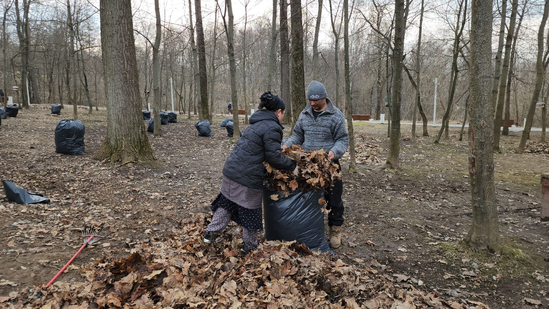 Уборка листьев, Истра, Благоустройство, Парк,