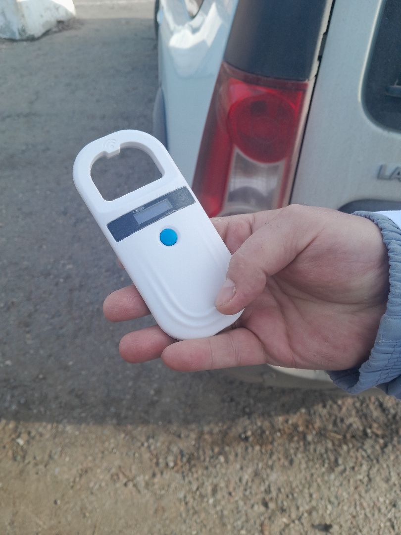 чипирование домашних животных, ветеринар, балашиха,