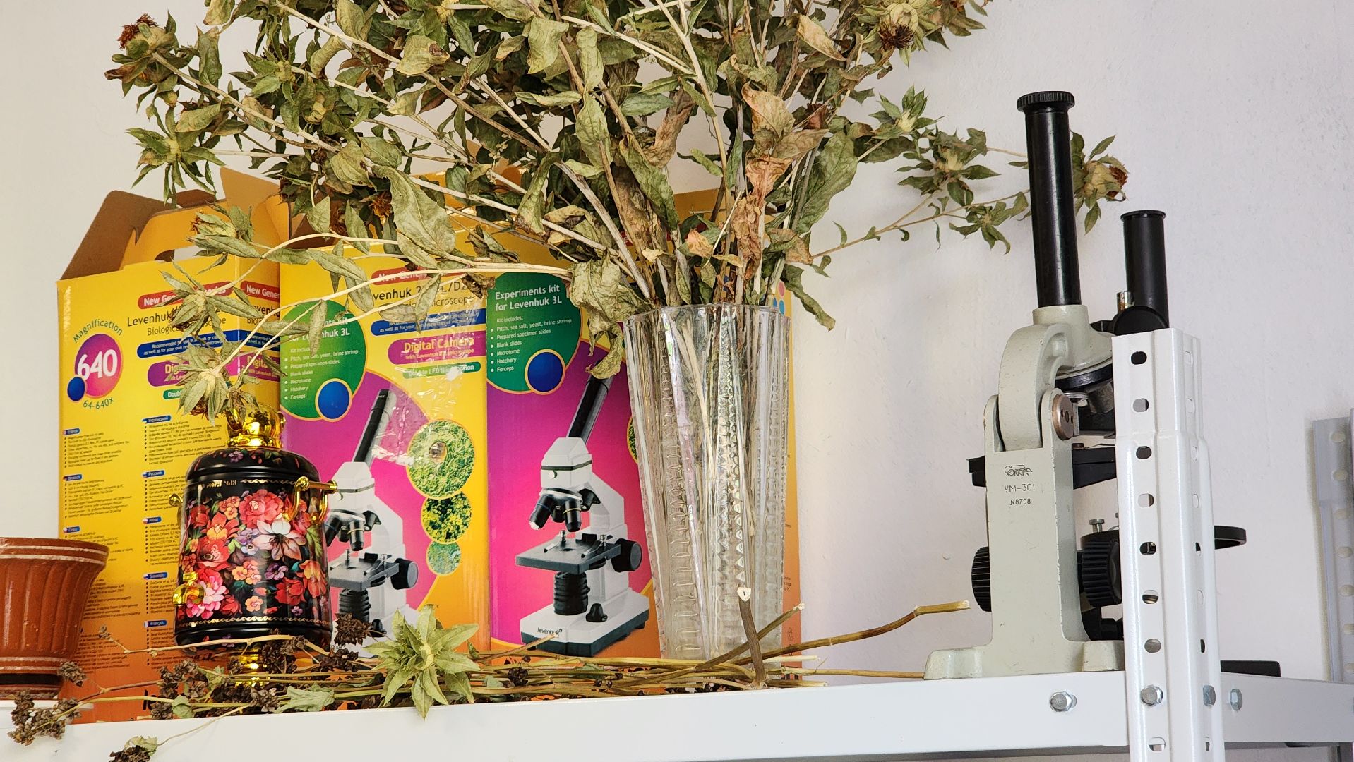 ступино, образование, агроклассы,