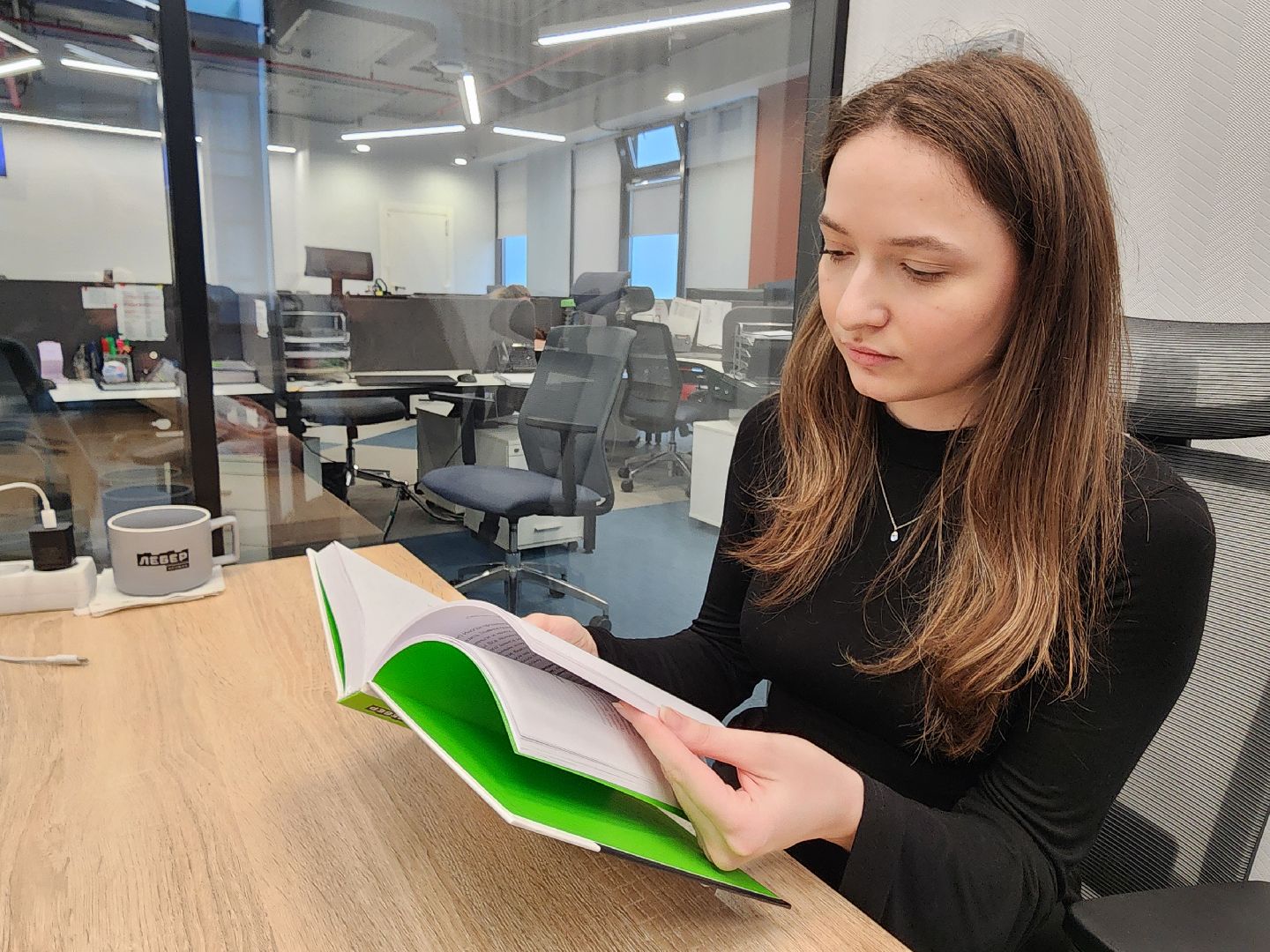 мытищи, лебер, книга,