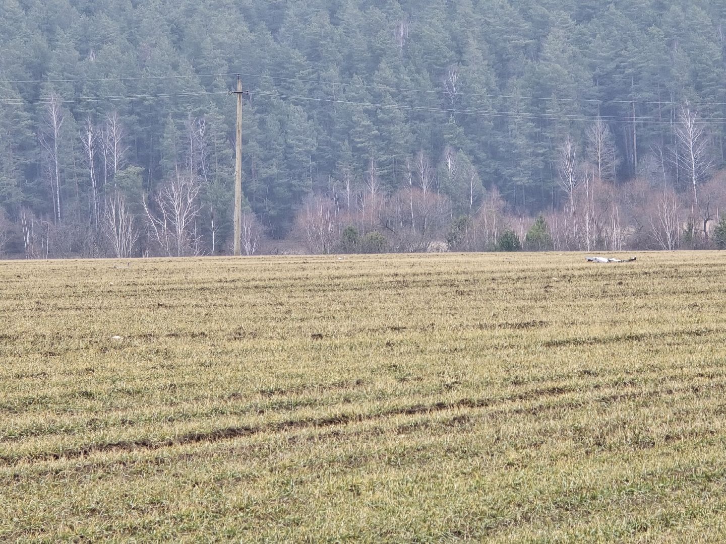 Коломна, атака беспилотников, бпла,