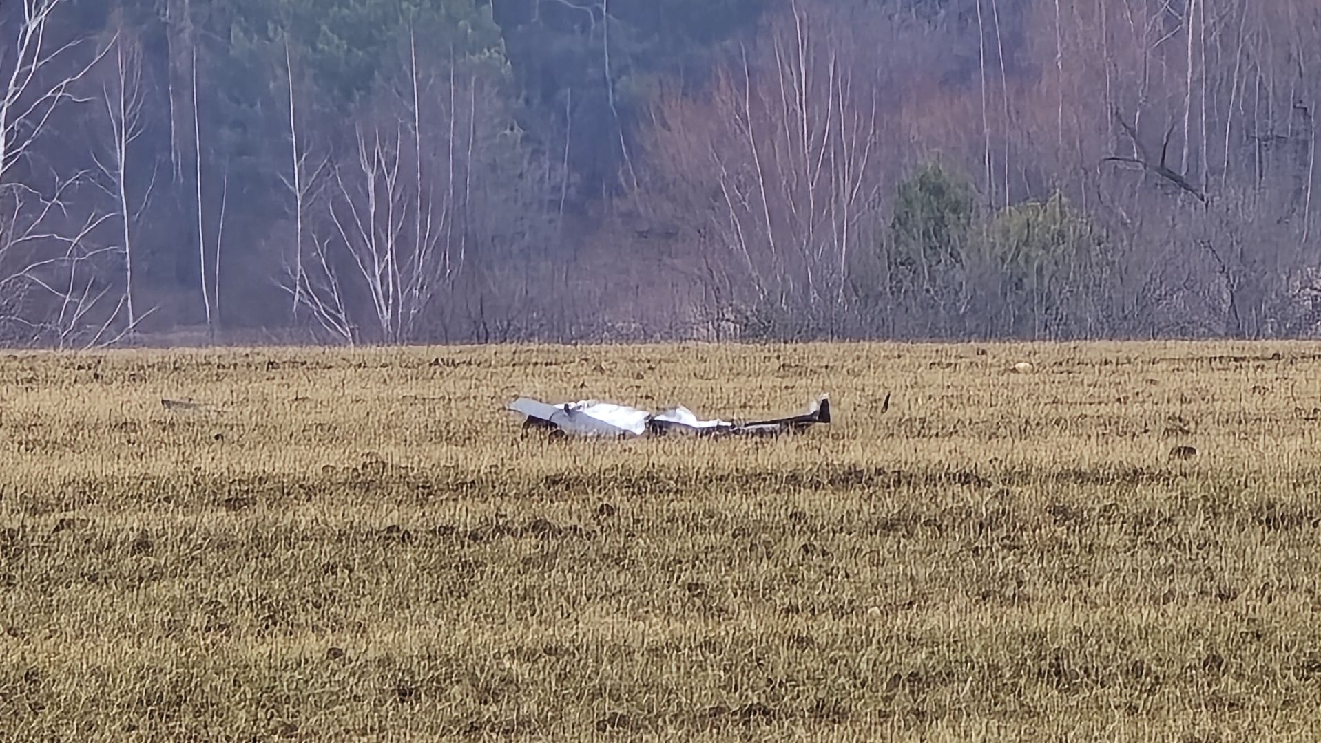 Коломна, атака беспилотников, бпла,