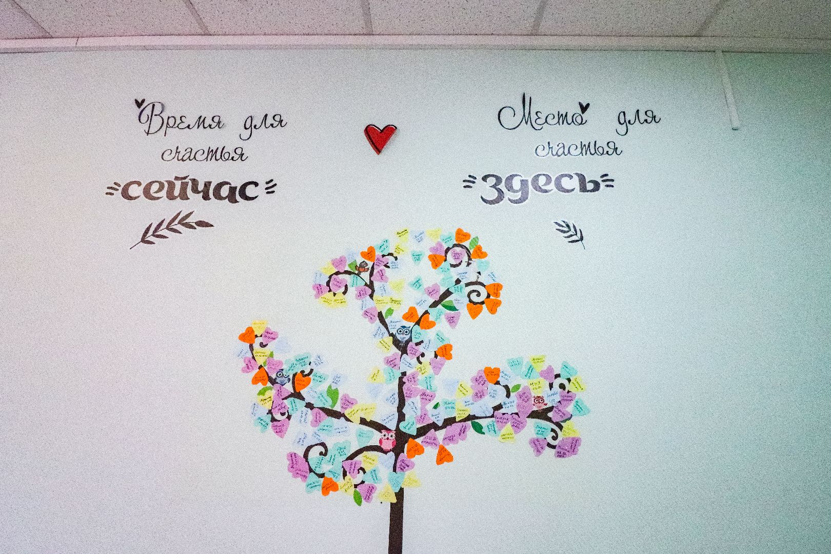 Клин, общество, медицина, роды, дети,