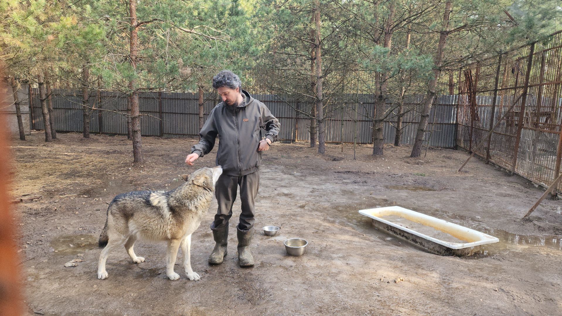 благотворительность, приют,