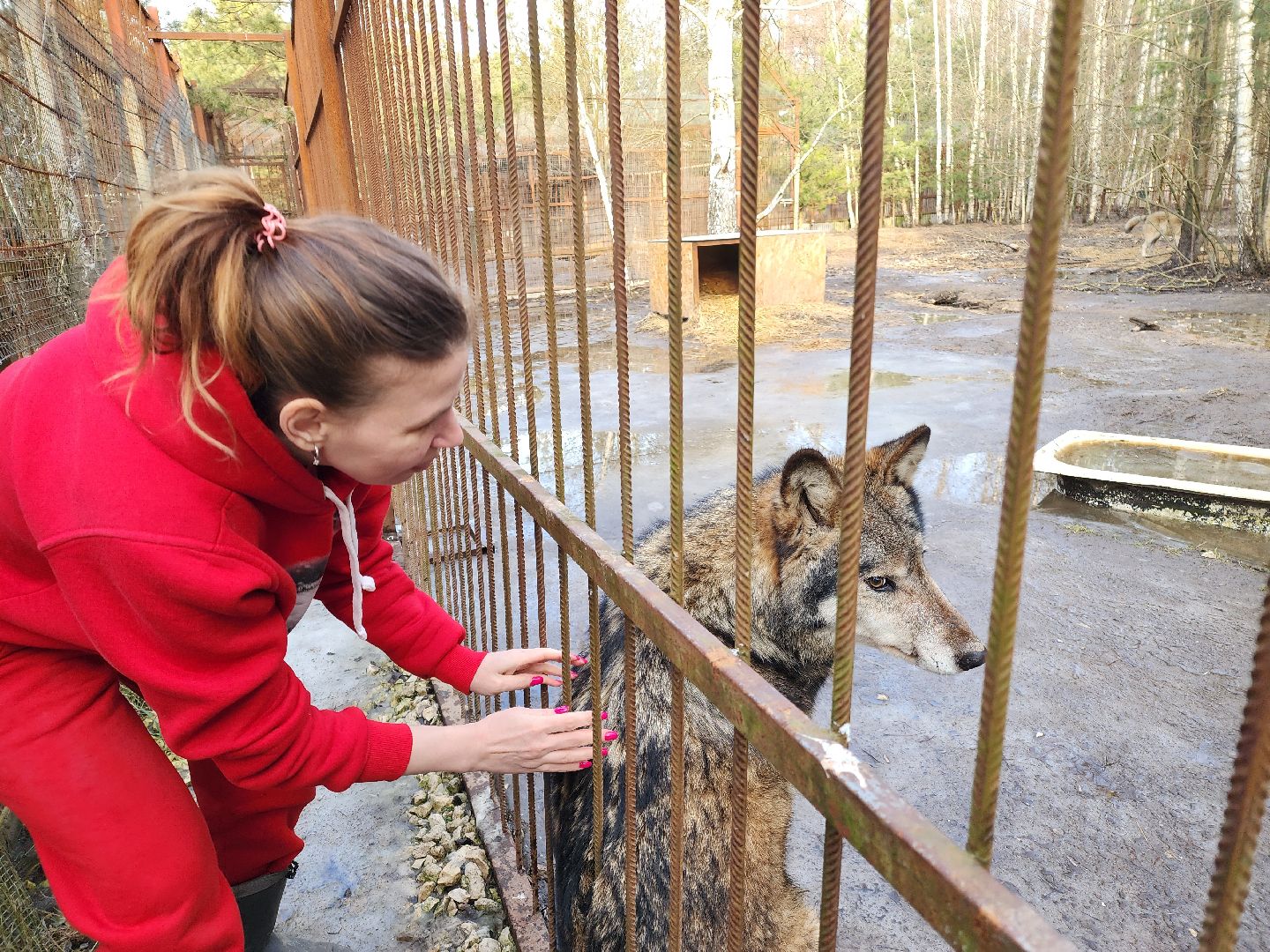 благотворительность, приют,