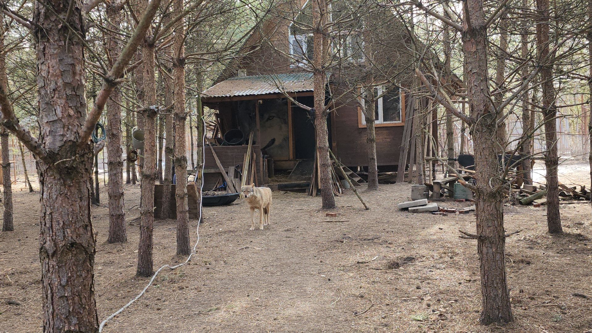 благотворительность, приют,