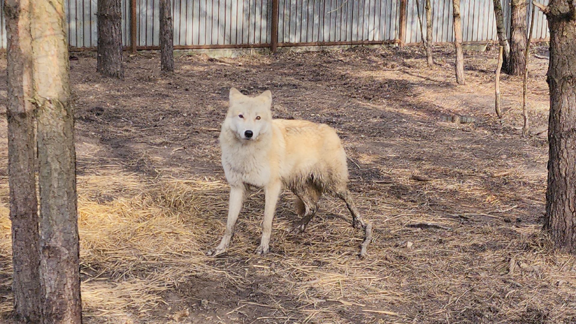 благотворительность, приют,