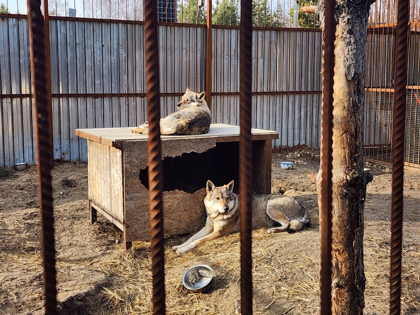 благотворительность, приют,