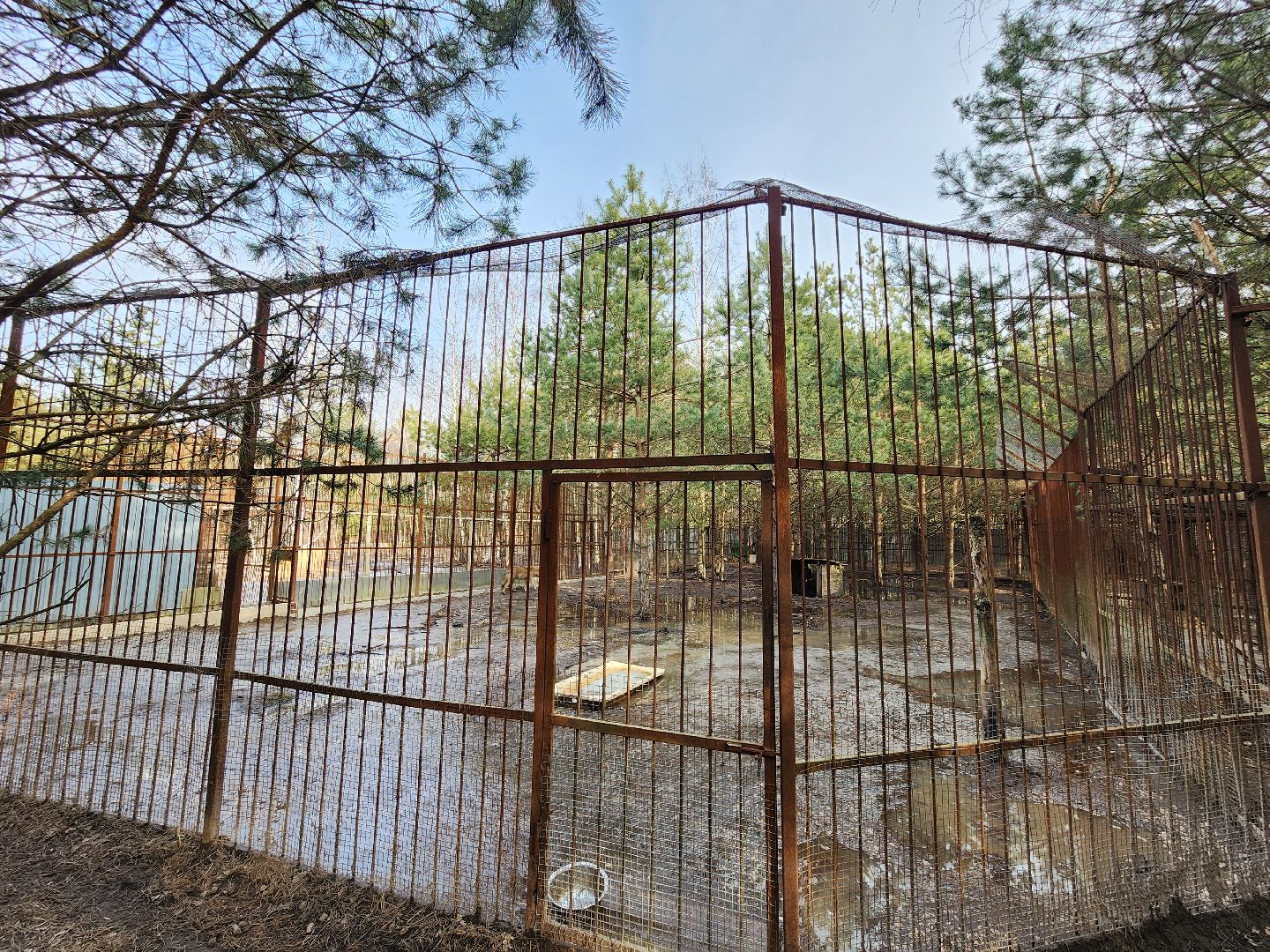 благотворительность, приют,