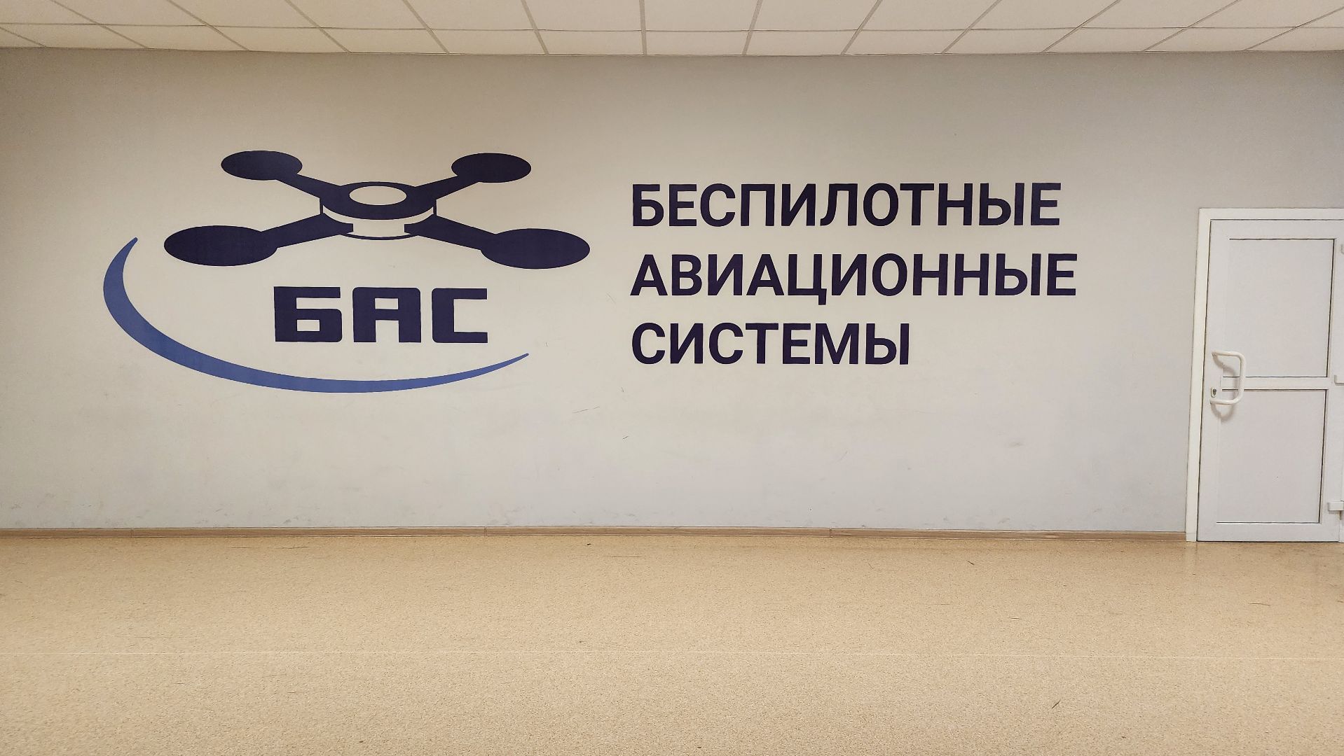 БАС, беспилотные авиационные системы, бпла, Старая Купавна, Богородский городской округ,