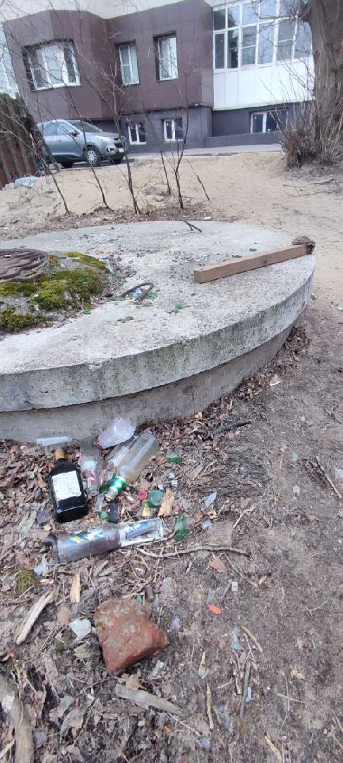 выездная администрация, обращение жителей, благоустройство, Старая Купавна, Богородский городской округ,