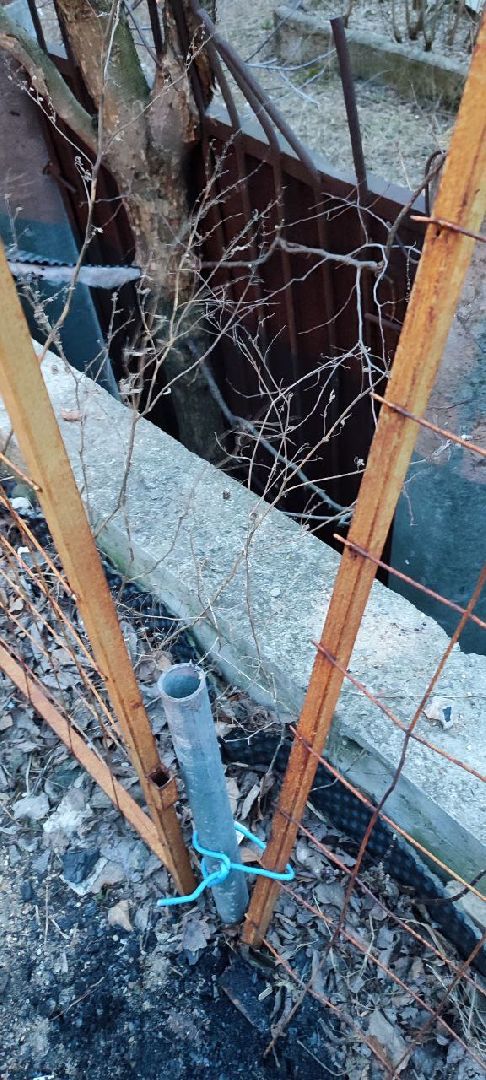 выездная администрация, обращение жителей, благоустройство, Старая Купавна, Богородский городской округ,