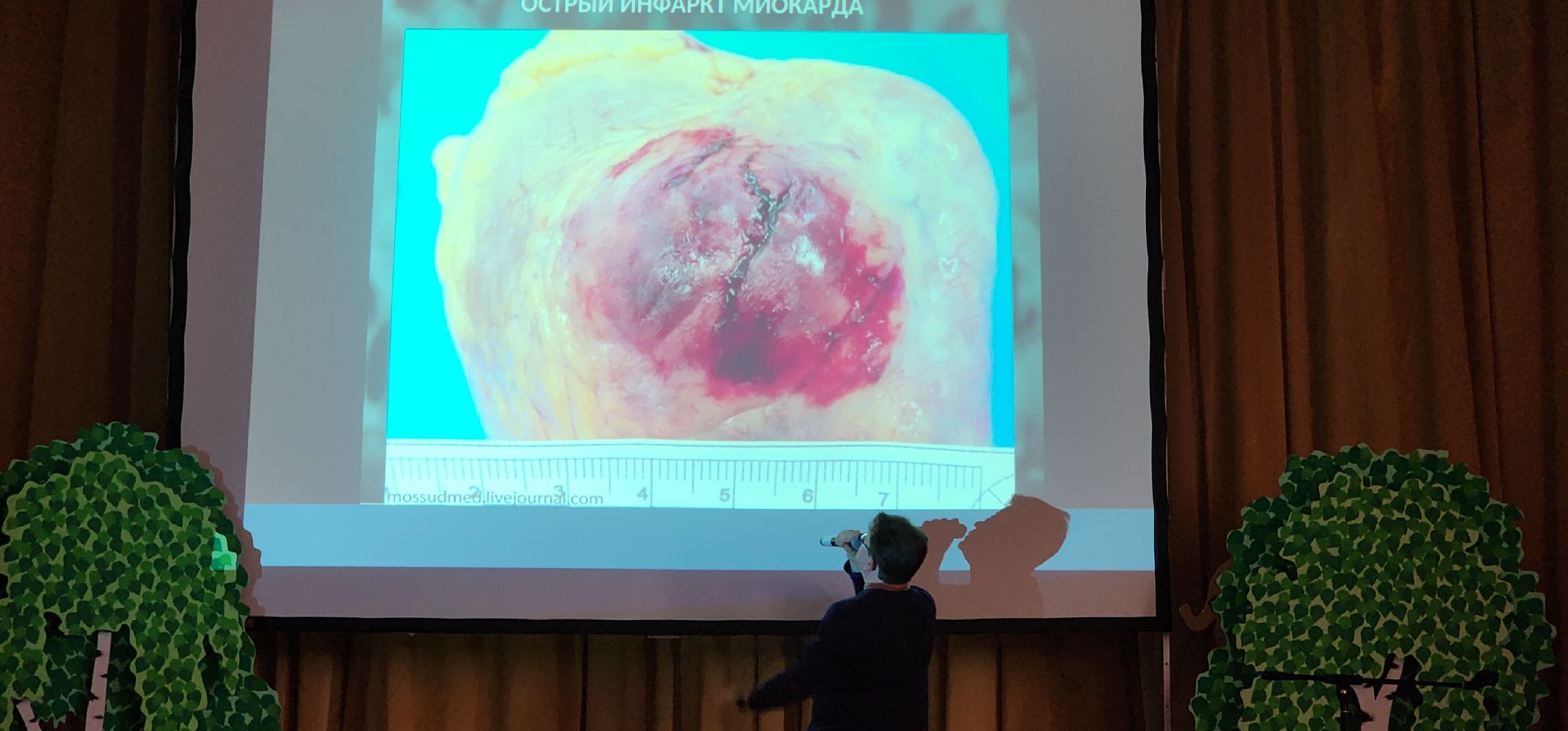 здоровье, общество, образование, медицина, нет наркотикам,