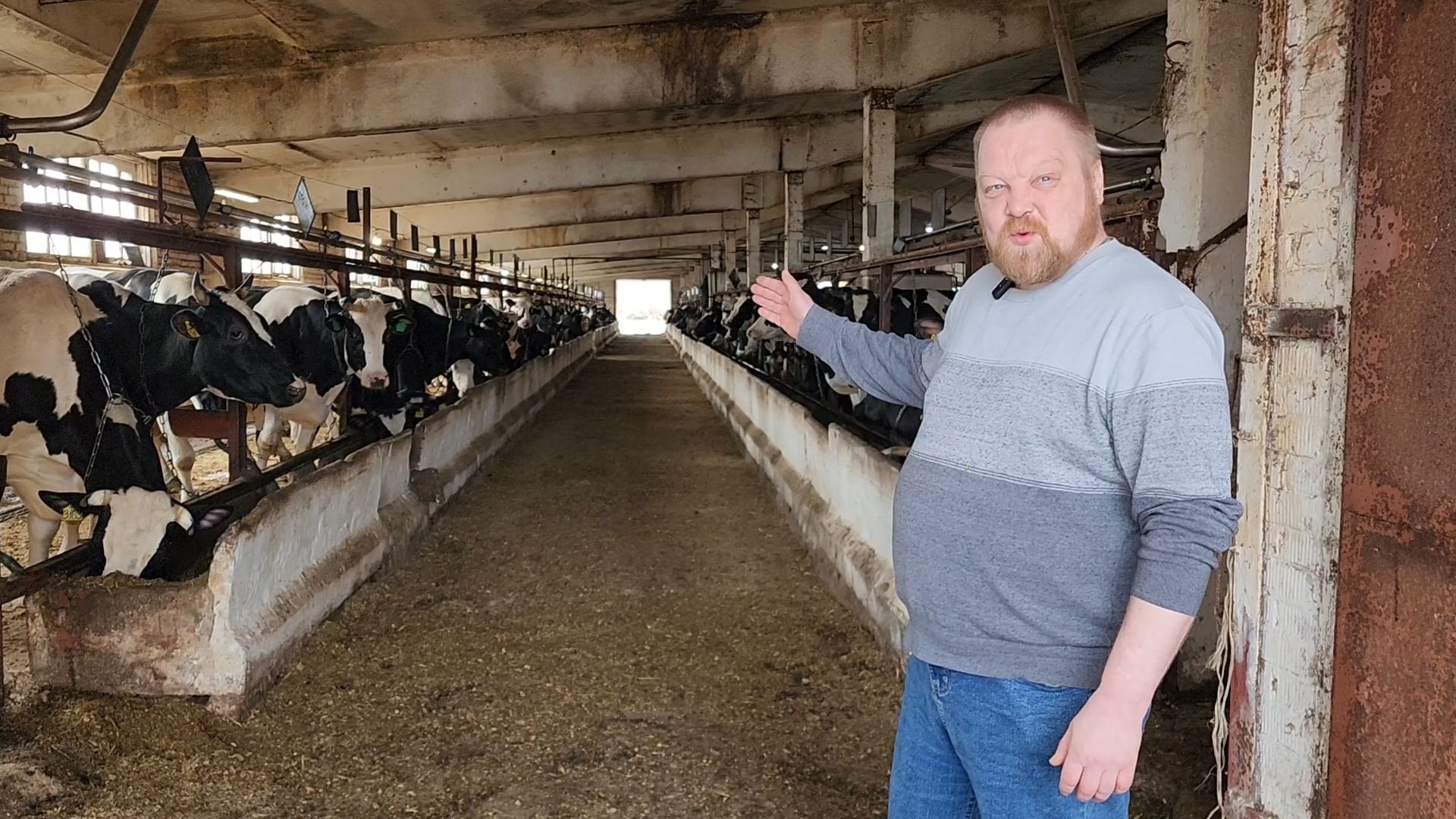 Бронницы, Производство молока, Коровье молоко,