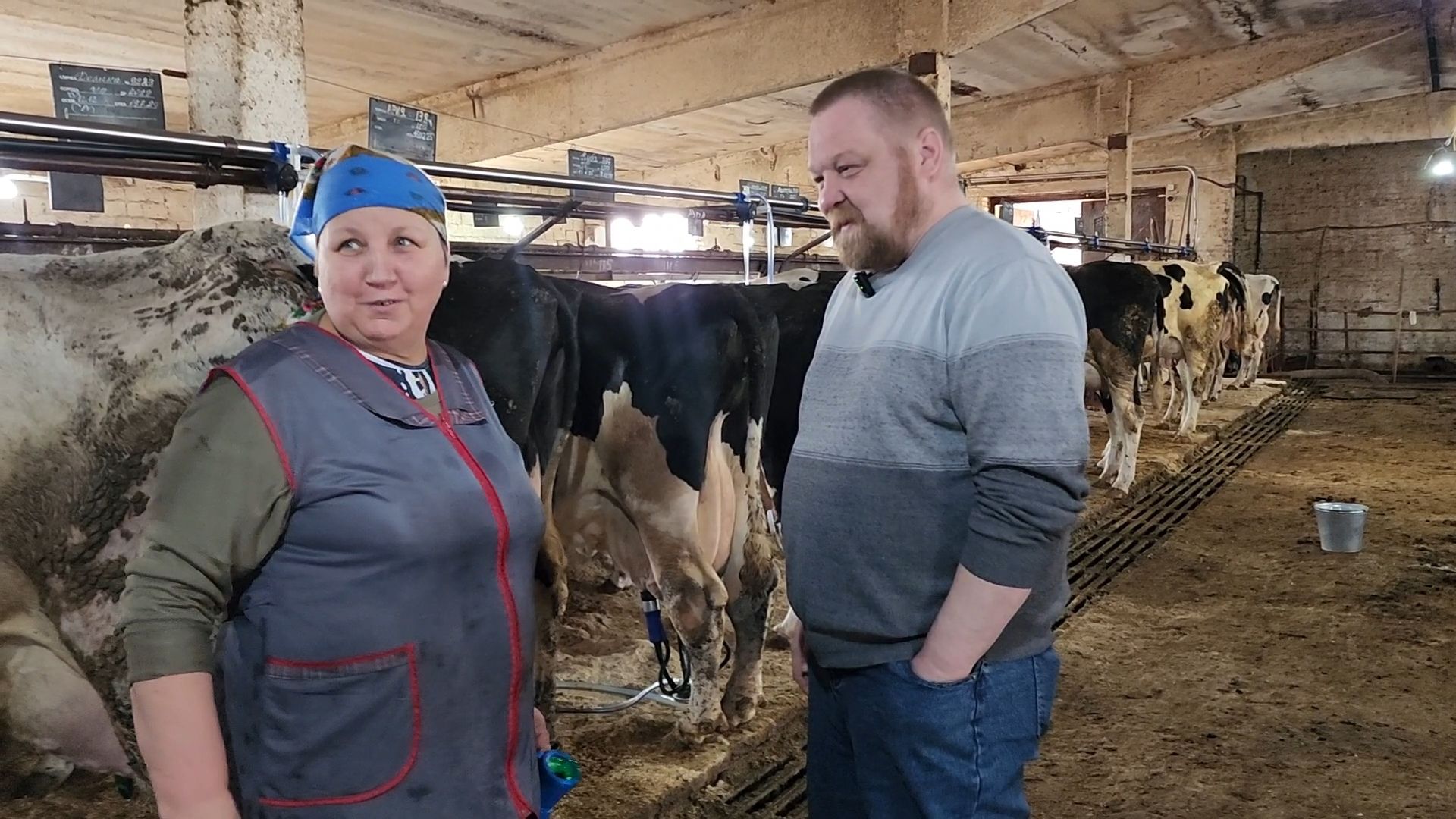 Бронницы, Производство молока, Коровье молоко,