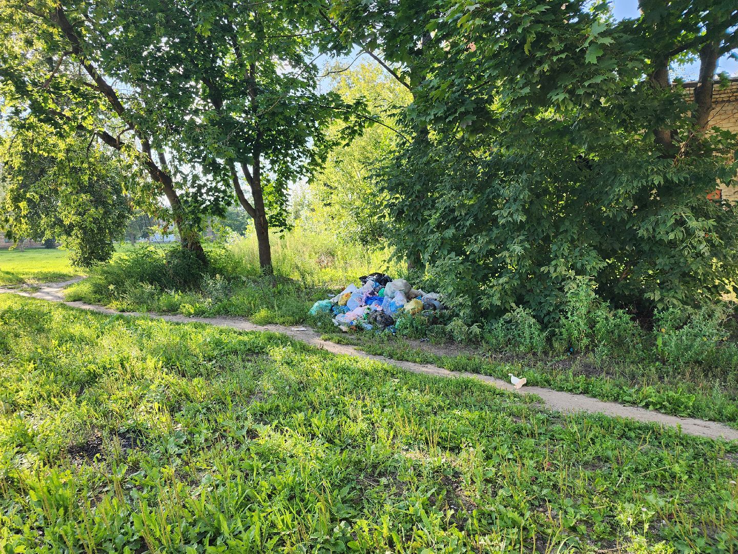 выездная администрация, обращения граждан, контейнерная площадка, Старая Купавна, Богородский городской округ,