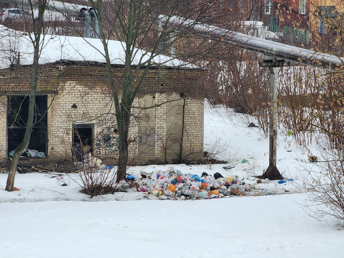 выездная администрация, обращения граждан, контейнерная площадка, Старая Купавна, Богородский городской округ,