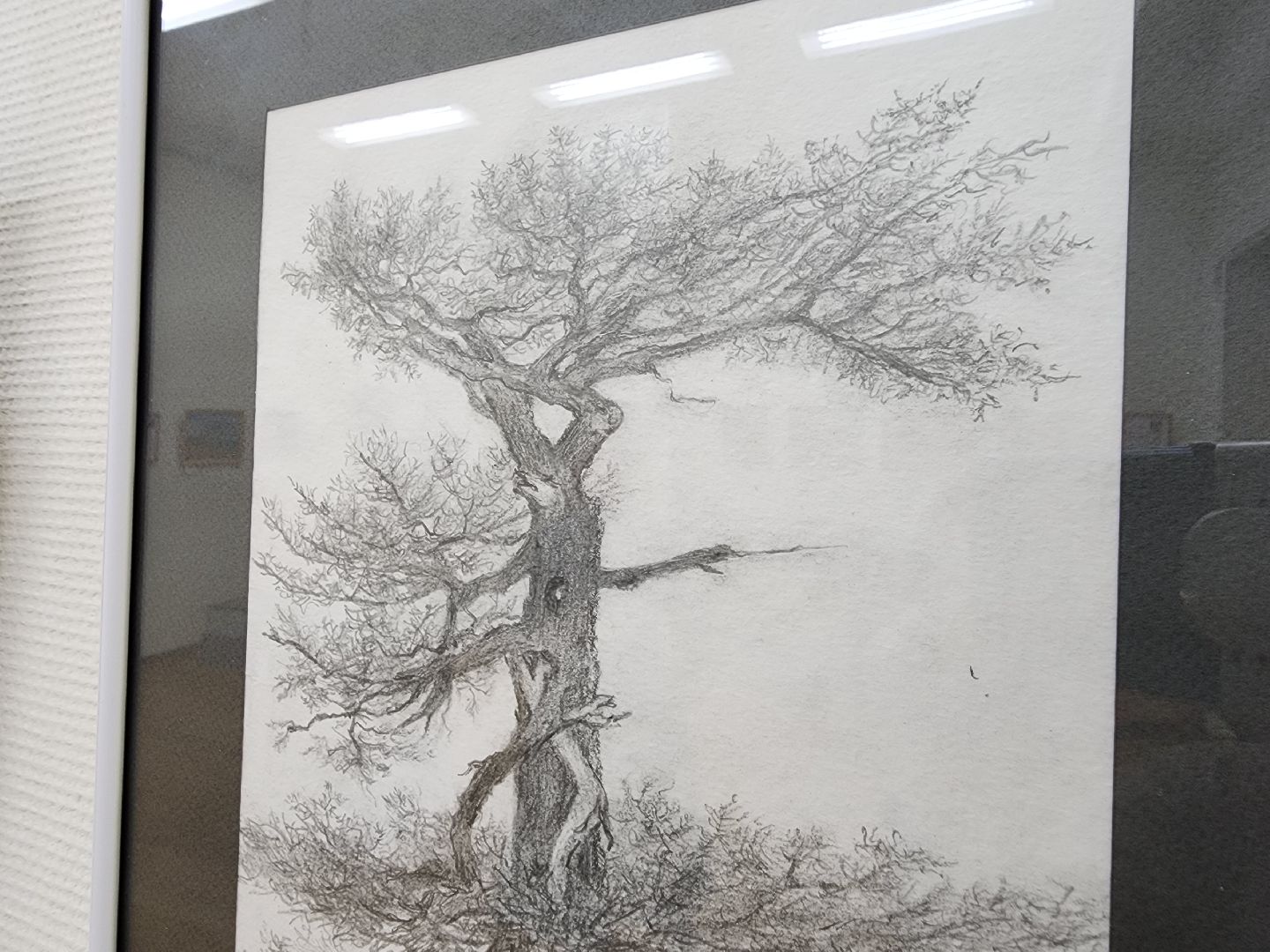 Подольск, выставка, флористика, графика, творчество, курилы,