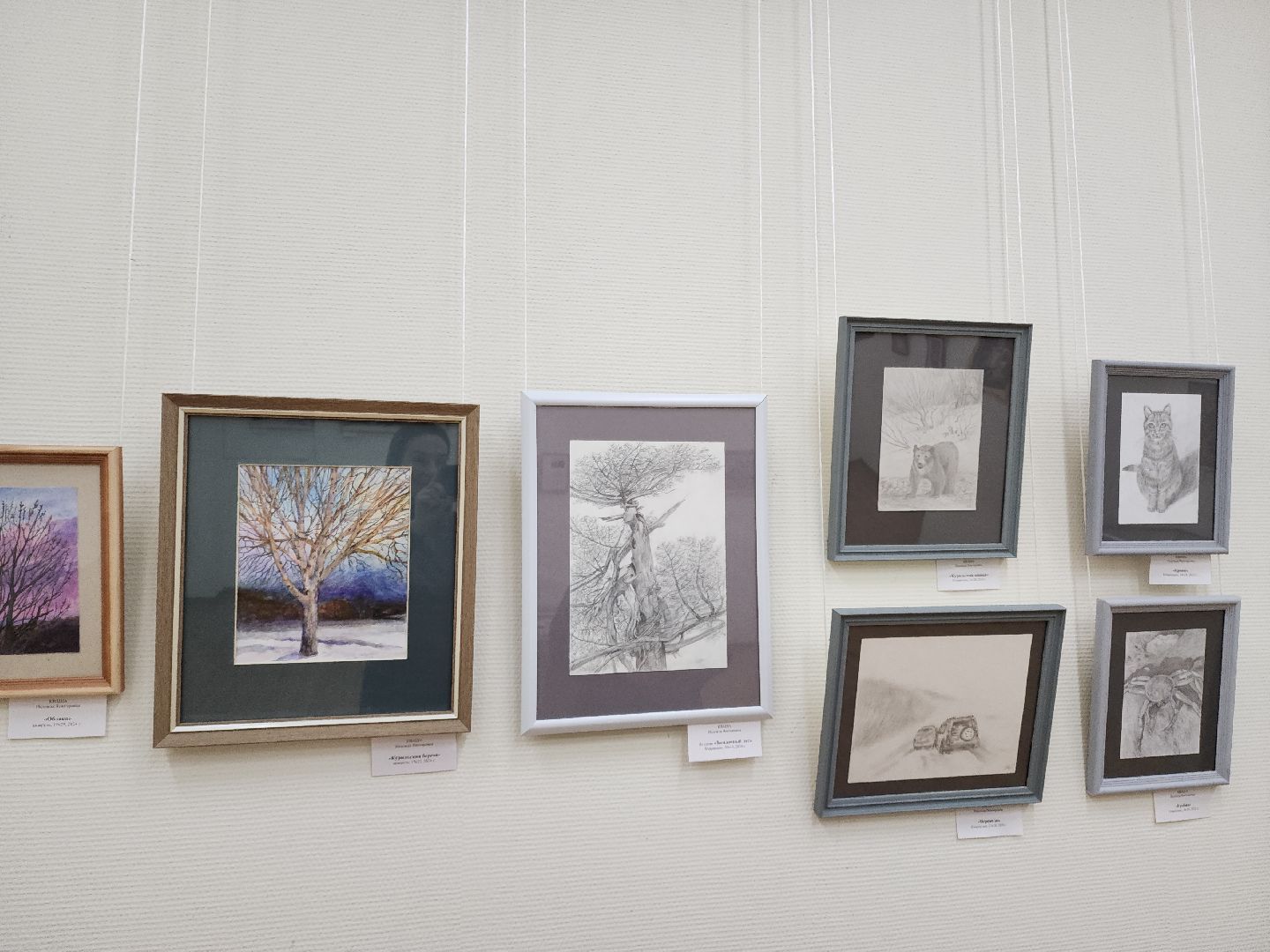 Подольск, выставка, флористика, графика, творчество, курилы,