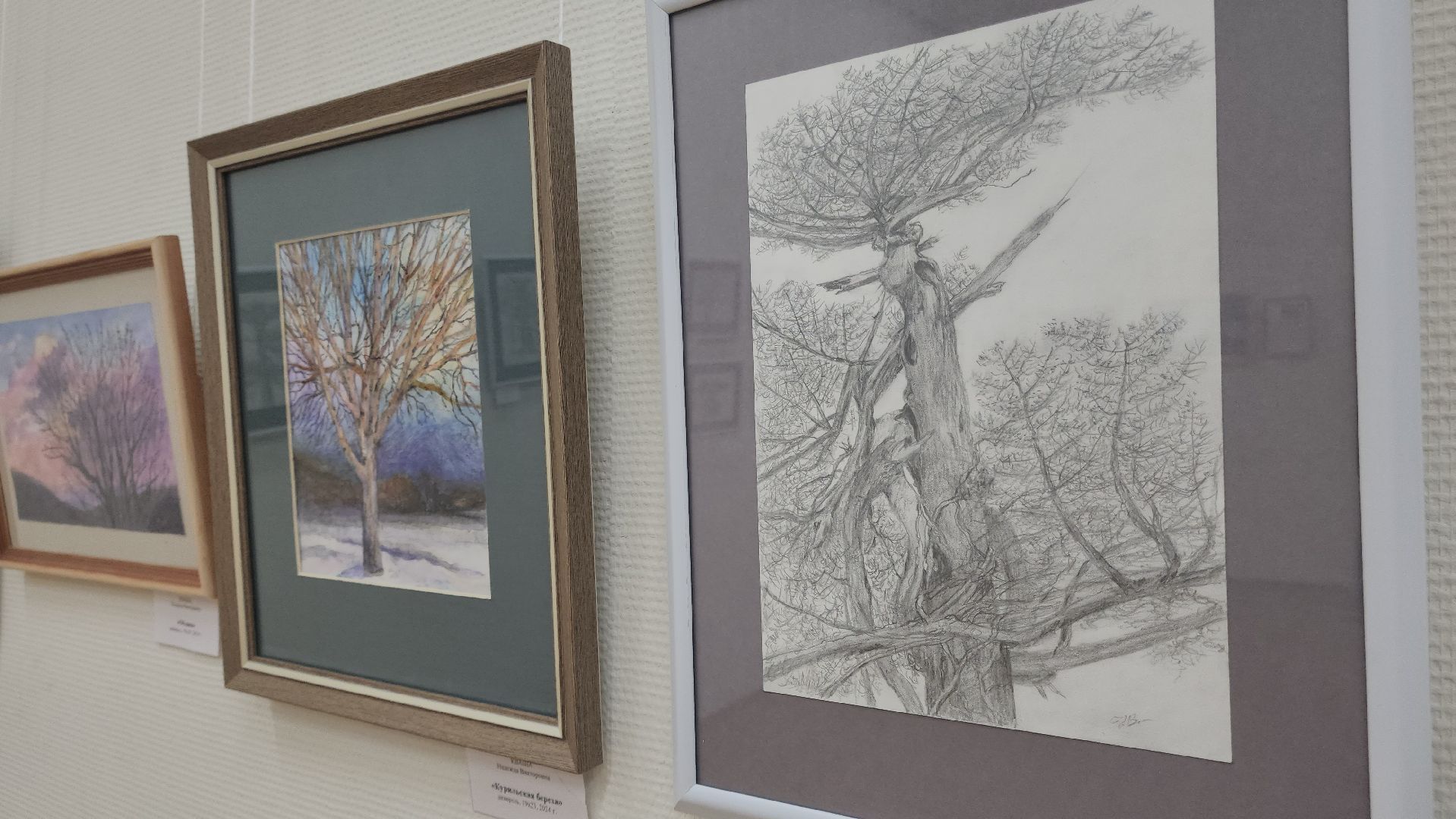 Подольск, выставка, флористика, графика, творчество, курилы,