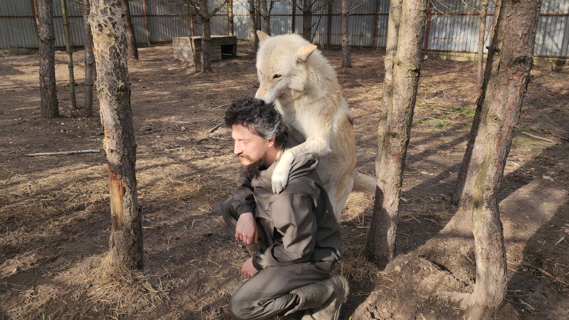 благотворительность, реабилитация, приют для животных,