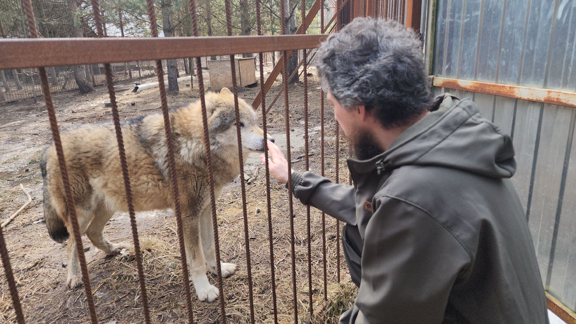 благотворительность, реабилитация, приют для животных,