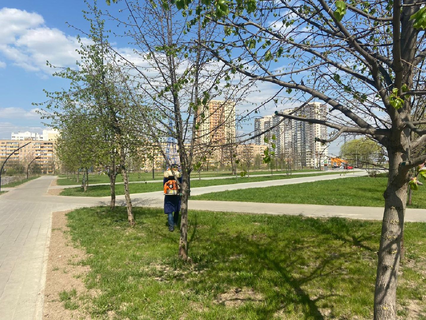 Реутов, обработка, парк, клещи, акарициды, прививка