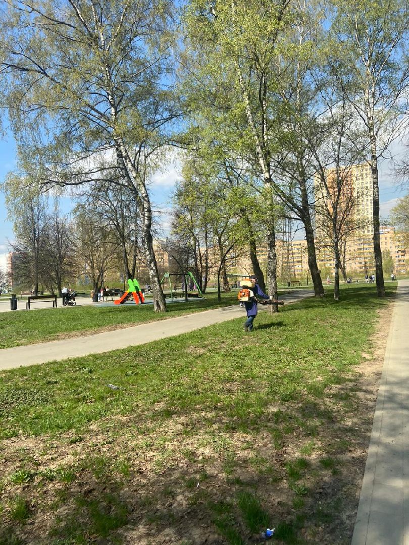 Реутов, обработка, парк, клещи, акарициды, прививка