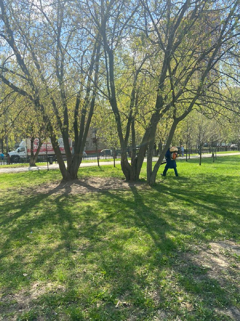 Реутов, обработка, парк, клещи, акарициды, прививка