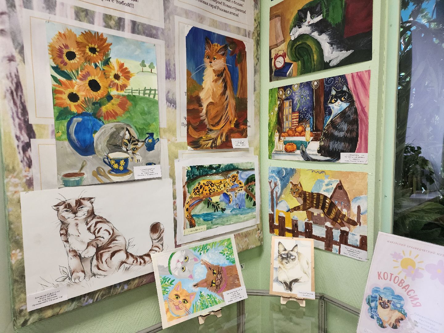 шатурский краеведческий музей, выставка, кошки,шатурский центр созвездие, ДШИ шатура,