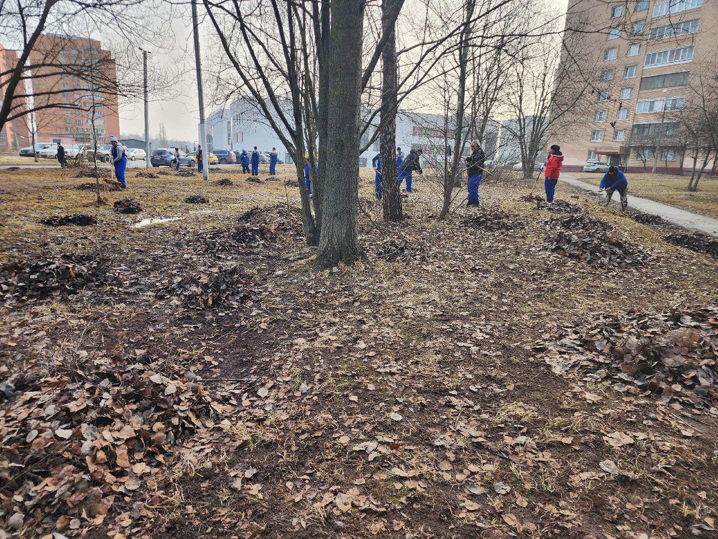 фрязино, уборка улиц, уборка газонов, благоустройство,