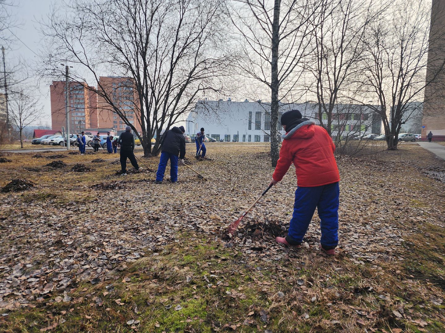 фрязино, уборка улиц, уборка газонов, благоустройство,