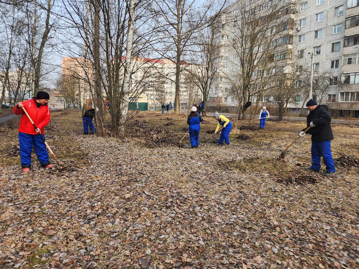 фрязино, уборка улиц, уборка газонов, благоустройство,