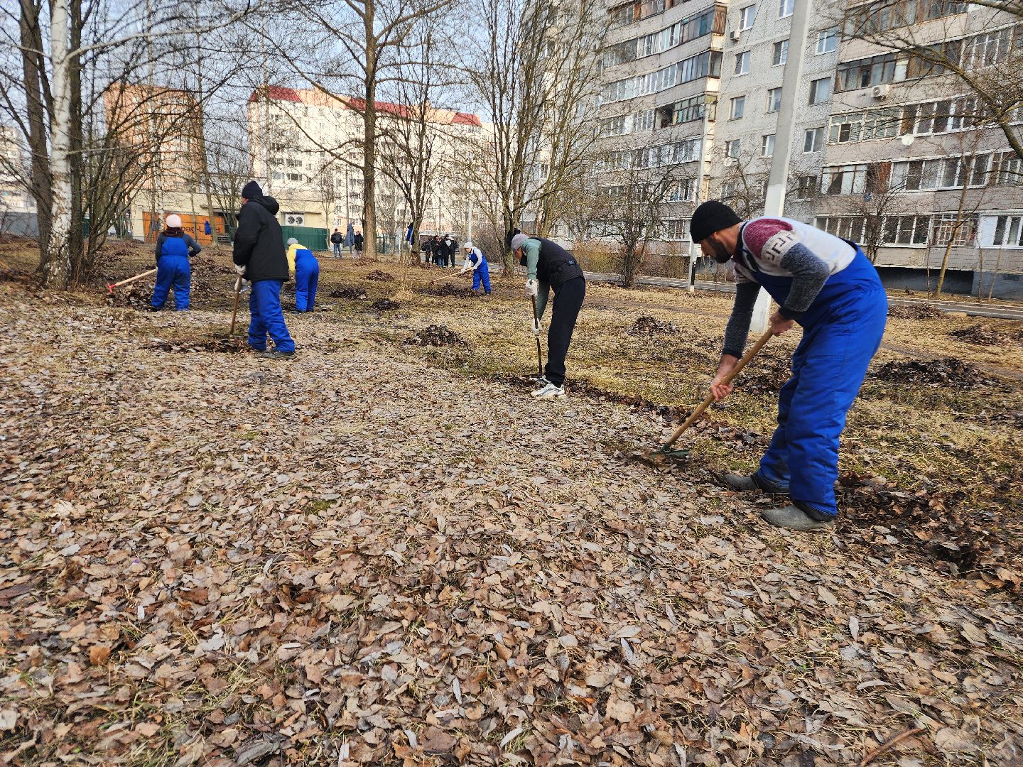 фрязино, уборка улиц, уборка газонов, благоустройство,