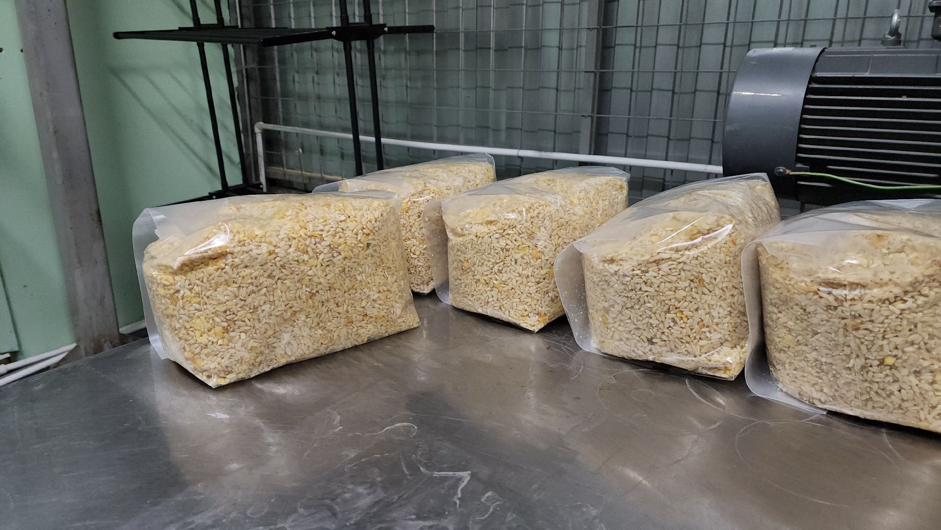 красногорск, сделано в подмосковье, грибы, импортозамещение,