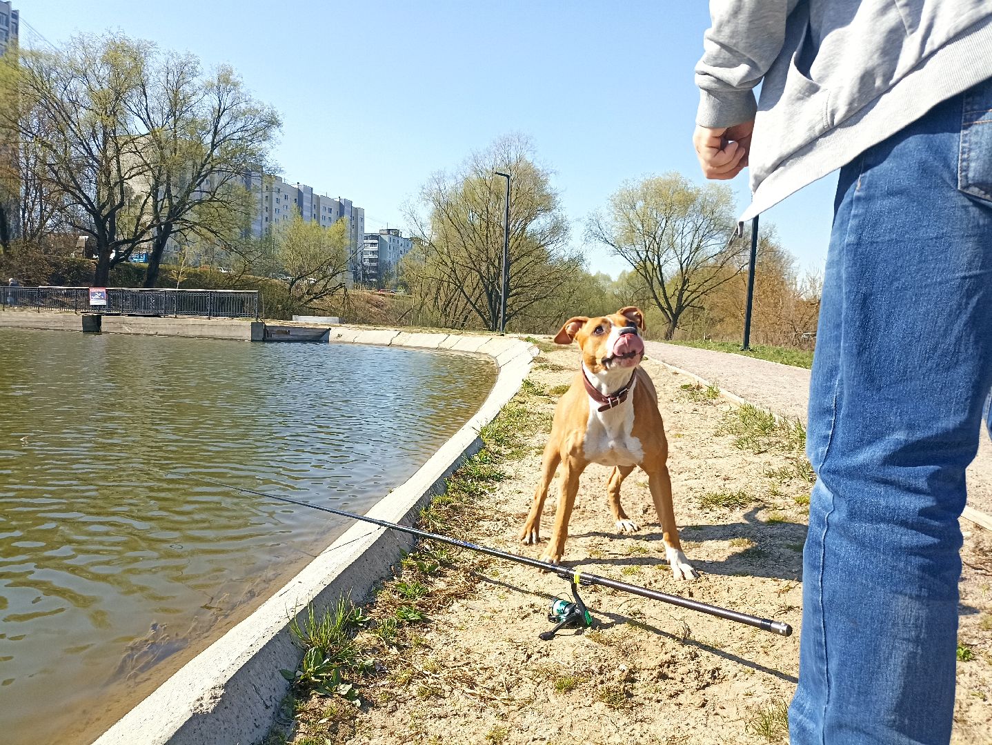 Серпухов, Подмосковье, рыбалка, пруд, весна