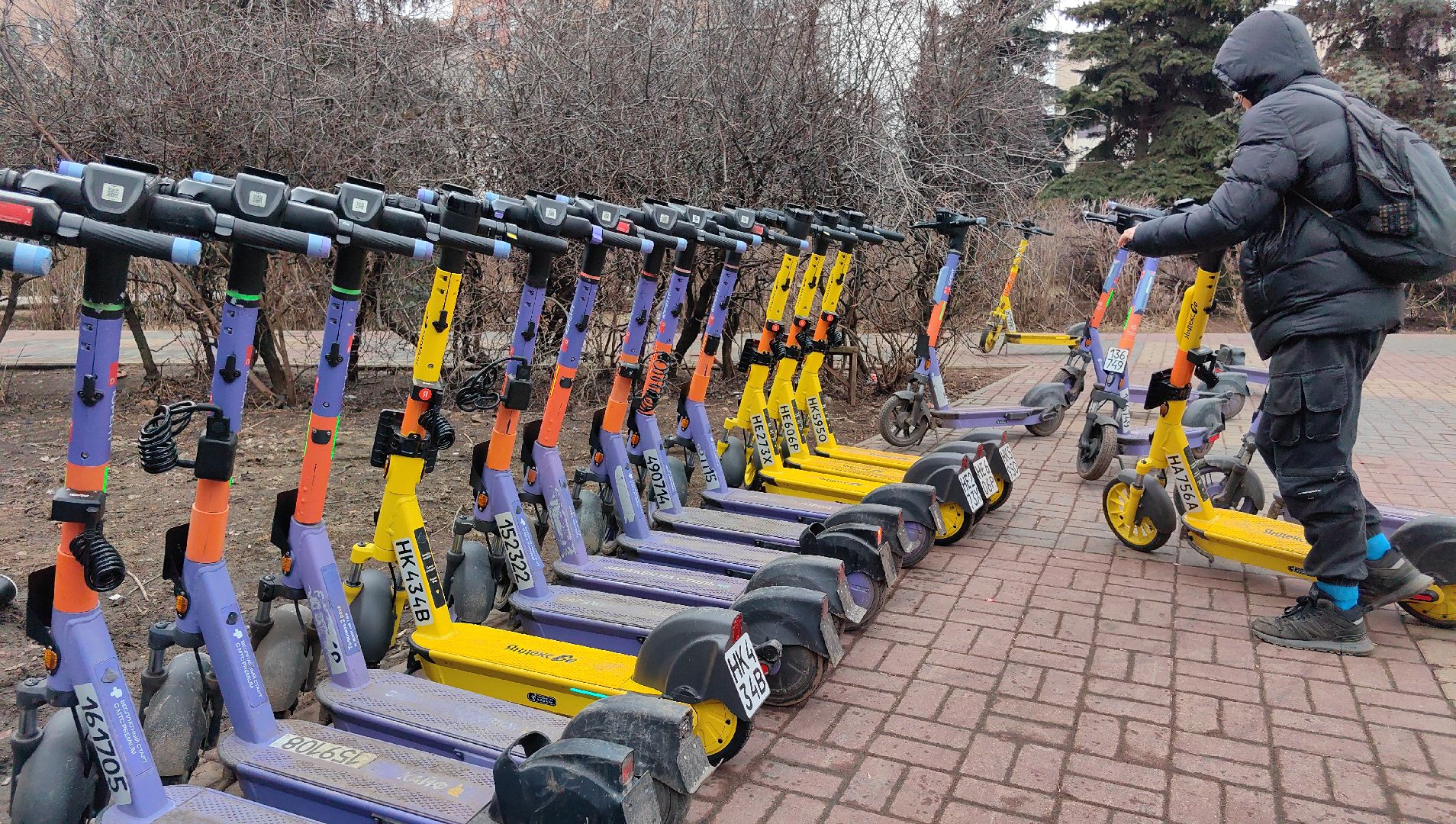 кикшеринг, парковка, сим, пдд, приложение,