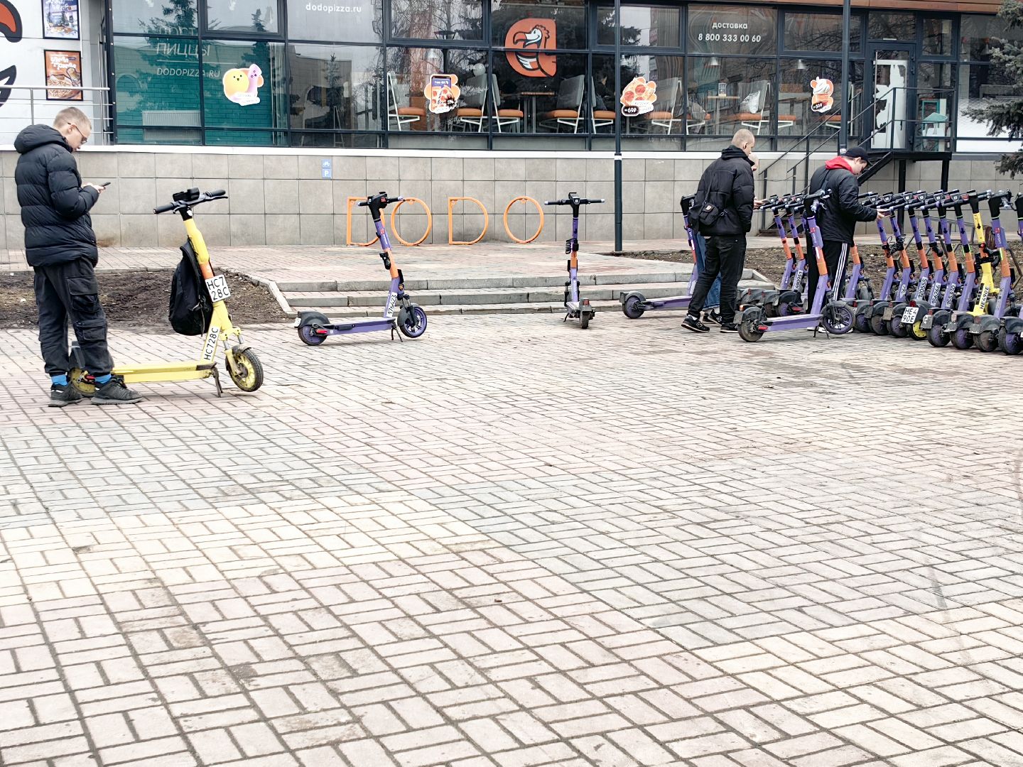 кикшеринг, парковка, сим, пдд, приложение,