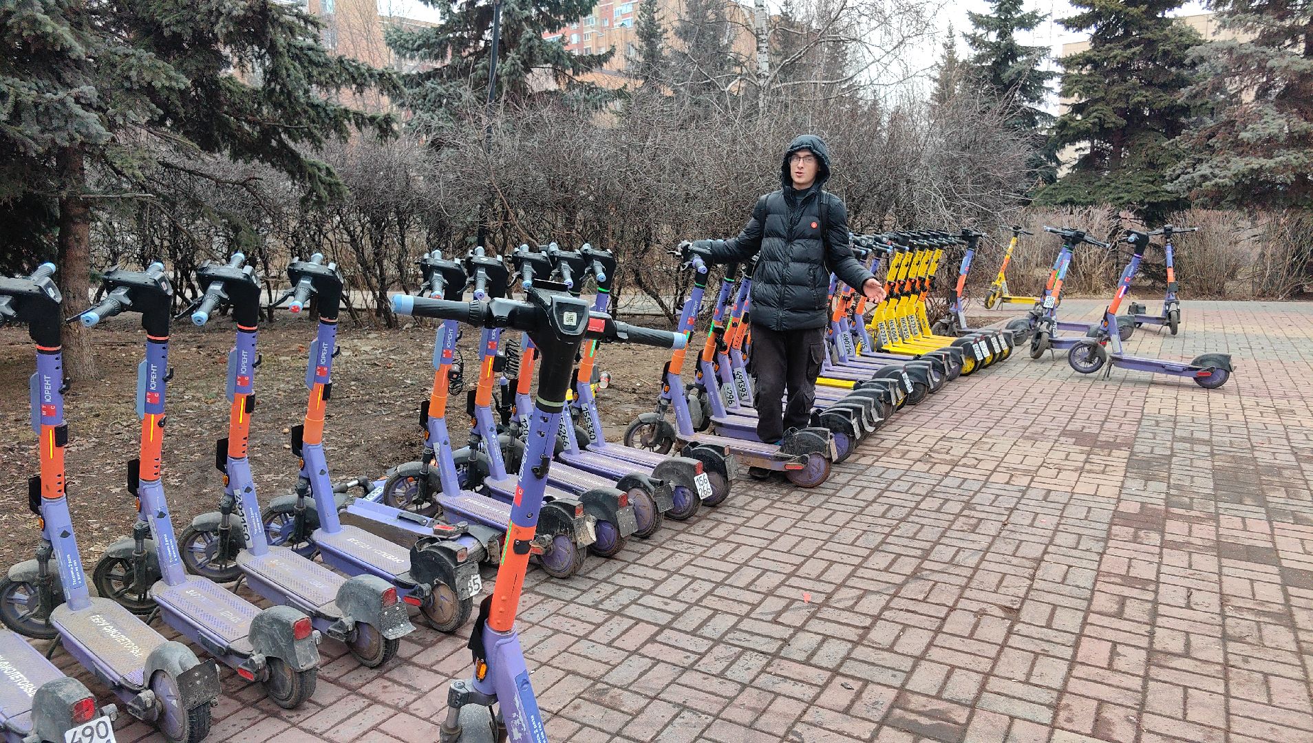 кикшеринг, парковка, сим, пдд, приложение,