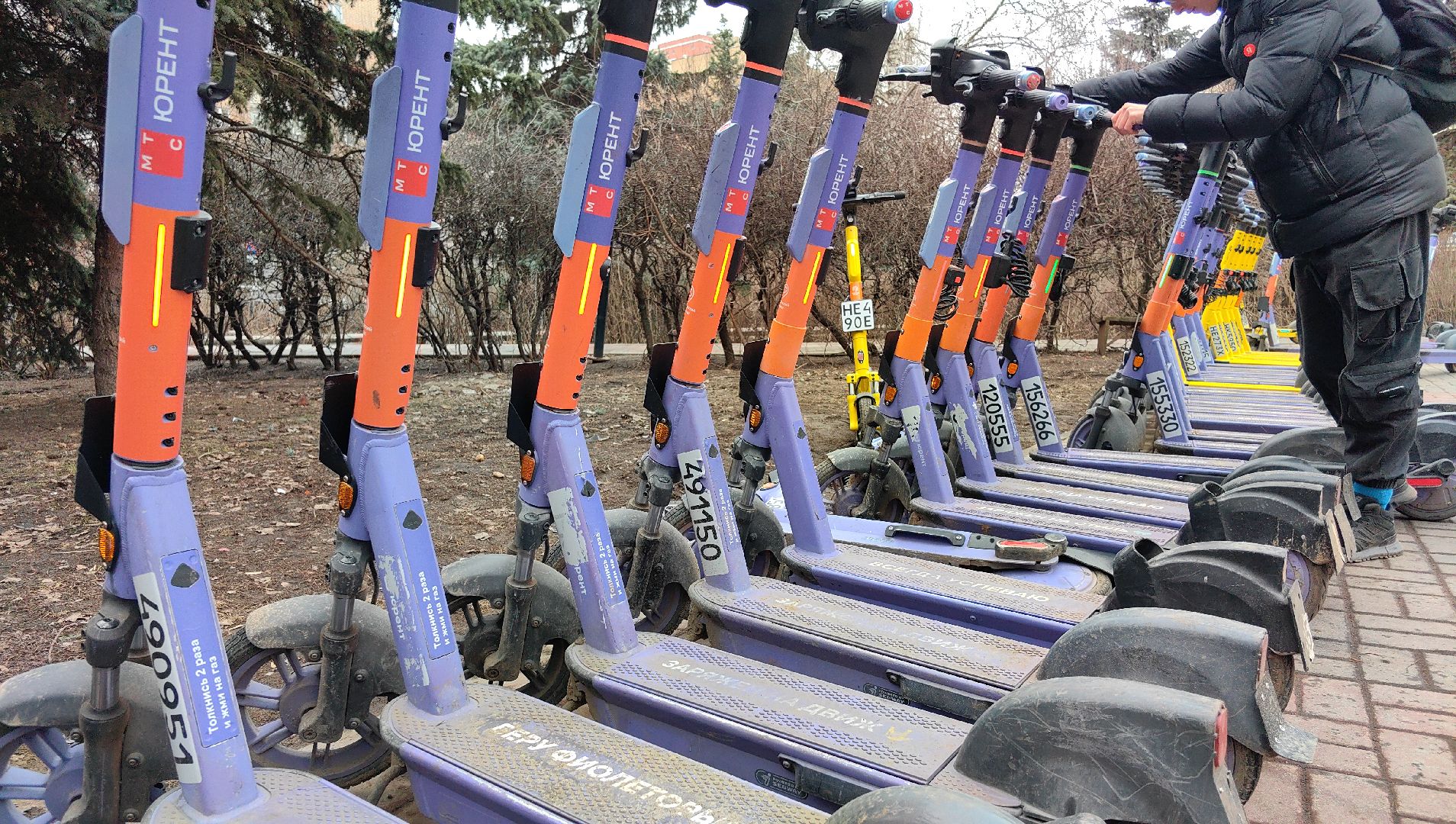 кикшеринг, парковка, сим, пдд, приложение,