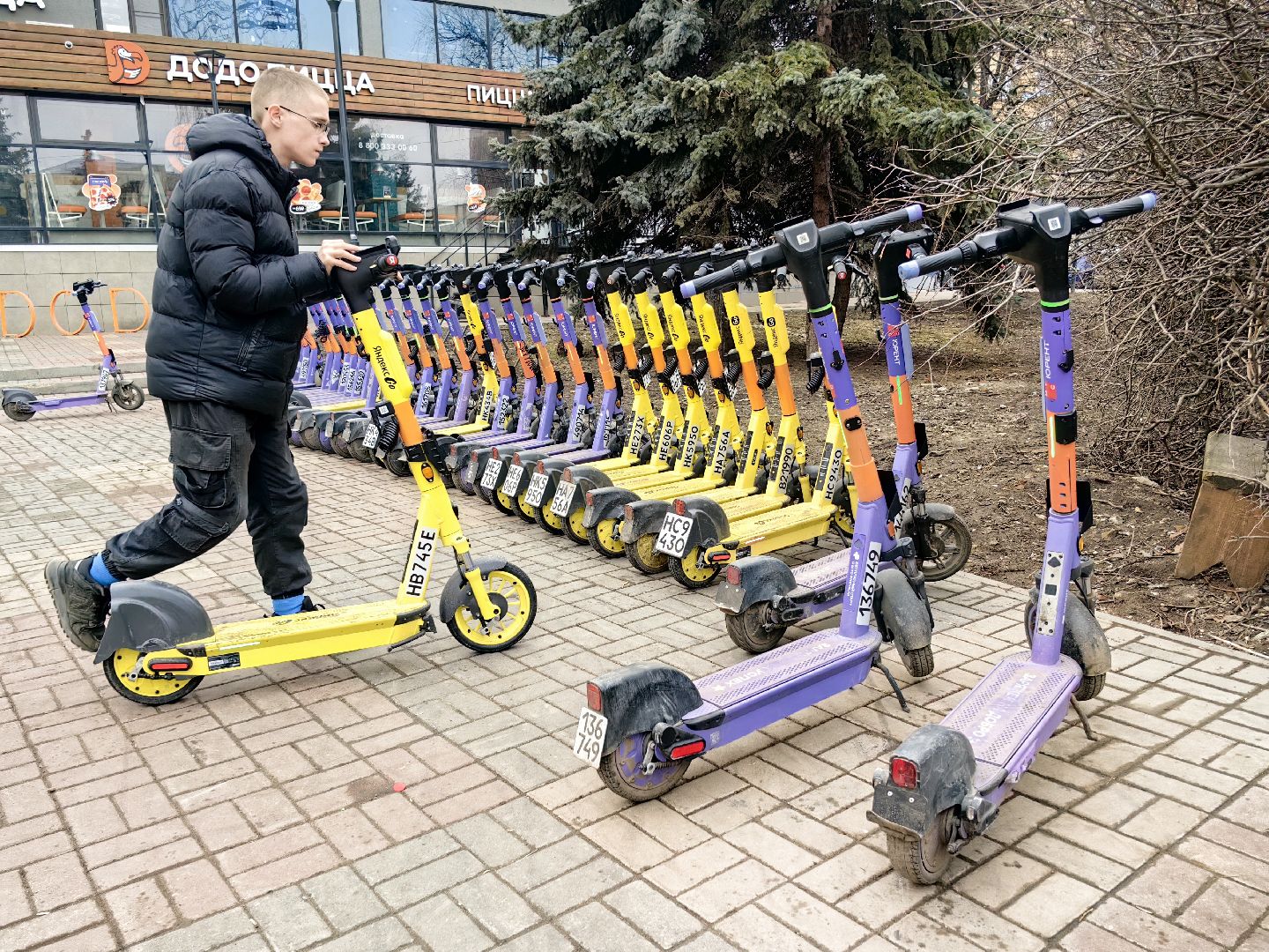 кикшеринг, парковка, сим, пдд, приложение,