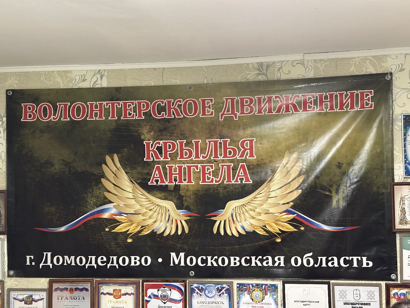 волонеры, домодедово, мастер класс,