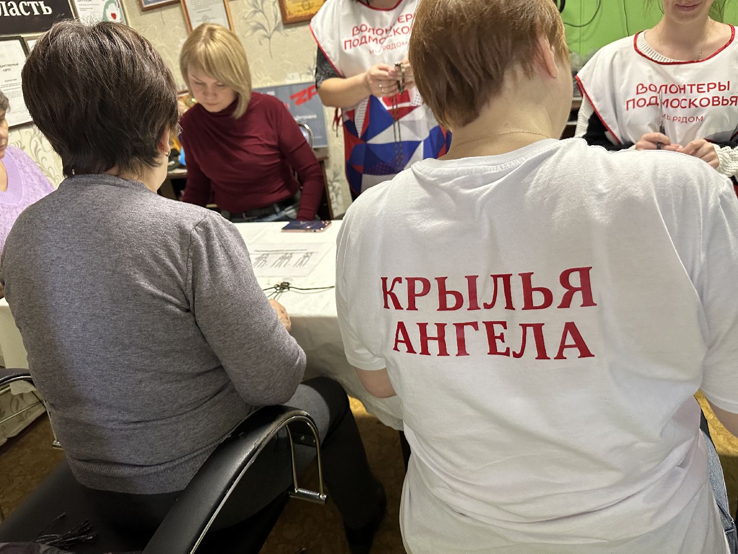 волонеры, домодедово, мастер класс,