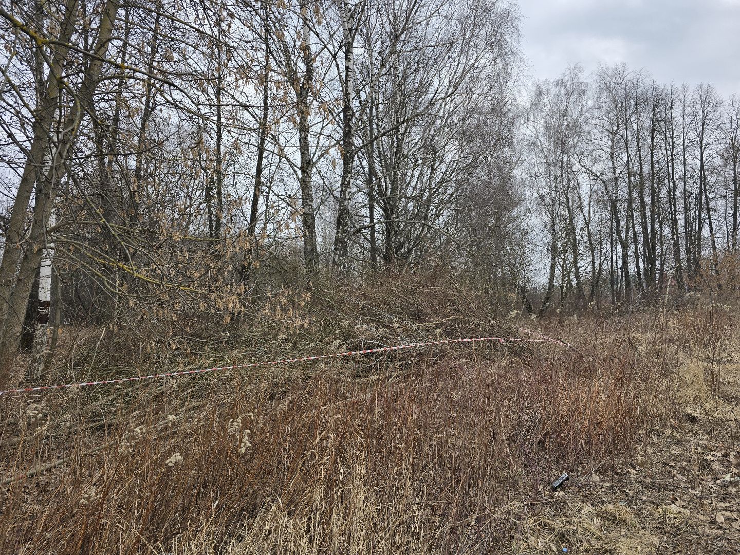 Коломна, благоустройство, парки подмосковья,